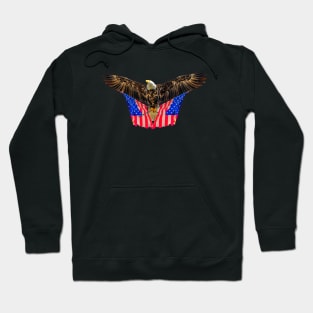 The Flag and the Eagle Hoodie